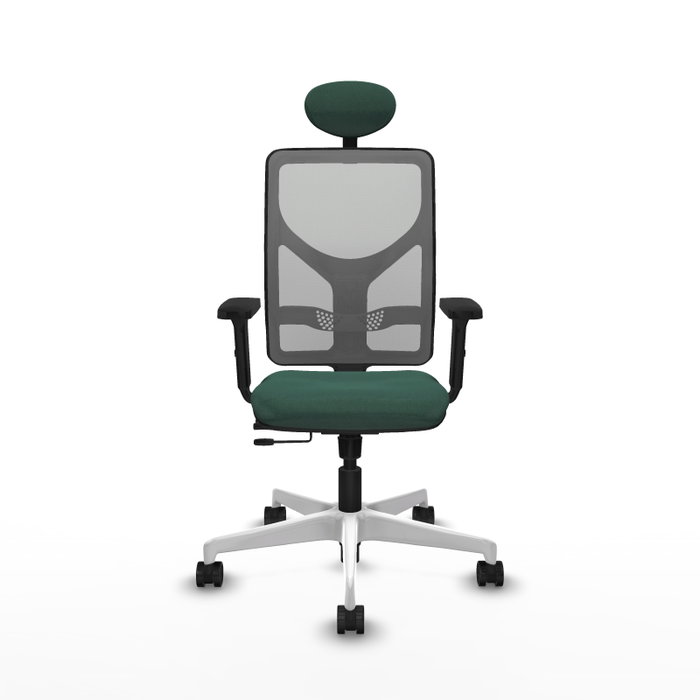 PIQUERAS Y CRESPO Silla de oficina Motilla con mecanismo Sincro/Traslack, Verde botella y Gris PIQUERAS Y CRESPO Silla de oficina Motilla con mecanismo Sincro/Traslack, Verde botella y Gris