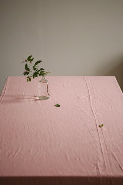 Dailylike Tela de Algodón Baby Rose Espesor 30C de 1,54m x 3m