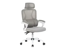 Q-connect Silla Reggio Ergonómica Gris y Blanco