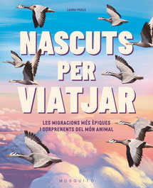 Mosquito Naixuts per viatjar: Migracions mes epiques i sorprese