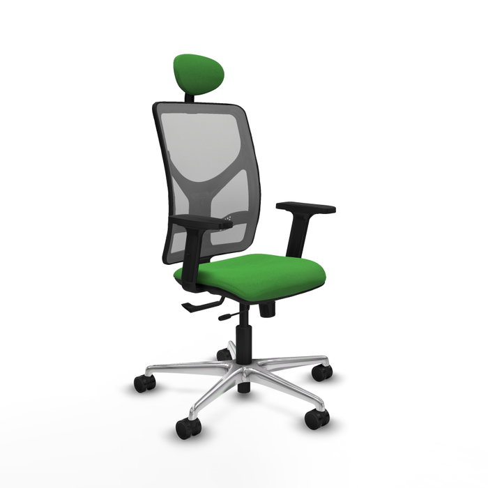 PIQUERAS Y CRESPO Silla de oficina Motilla con mecanismo Sincro/Traslack, Verde y Gris PIQUERAS Y CRESPO Silla de oficina Motilla con mecanismo Sincro/Traslack, Verde y Gris