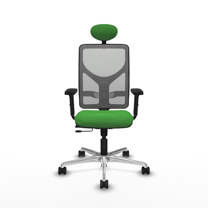PIQUERAS Y CRESPO Silla de oficina Motilla con mecanismo Sincro/Traslack, Verde y Gris PIQUERAS Y CRESPO Silla de oficina Motilla con mecanismo Sincro/Traslack, Verde y Gris