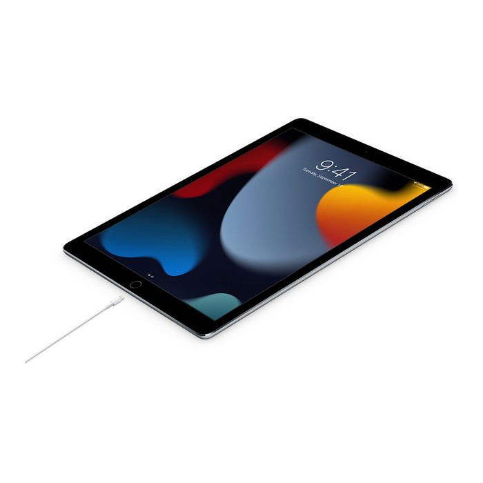 Apple Cable USB-C a Lightning 1M MUQ93ZM/A Blanco