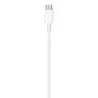 Apple Cable MUQ93ZM/A Lightning a USB-C 1 m Blanco para Carga y Sincronización