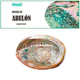 INKANAT Concha de Abulón 12-14Cm 1Ud. Ideal para Incienso y Decoración