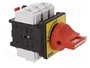 SCHNEIDER ELECTRIC TeSys VARIO VCF3 Seccionador Principal de Seguridad 63A 3 Polos