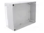 ELEKTRO-PLAST NASIELSK Carcasa Industrial Universal Gris IP65