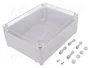 ELEKTRO-PLAST NASIELSK Carcasa Industrial Universal Gris IP65