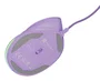 Natec Crake 2 Pro Ratón Vertical Ergonómico Púrpura 12800 DPI