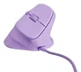 Natec Crake 2 Pro Ratón Vertical Ergonómico Púrpura 12800 DPI