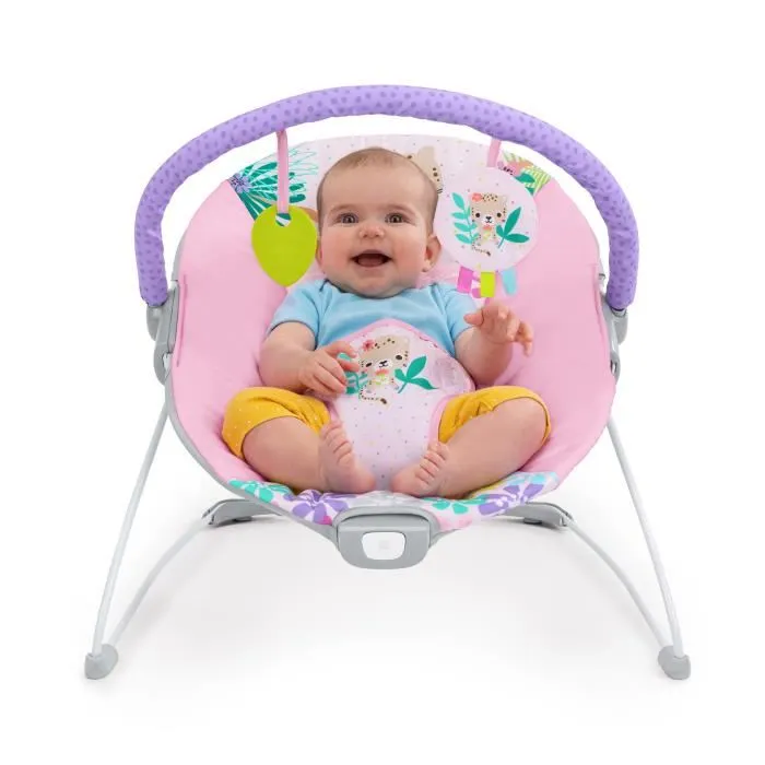 Bright Starts Hamaca para Bebé con Vibraciones Wildflowers Wonders, BRI0074451175877, Arnés de 3 Puntos, 2 Juguetes Incluidos, Desde el Nacimiento Bright Starts Hamaca para Bebé con Vibraciones Wildflowers Wonders, BRI0074451175877, Arnés de 3 Puntos, 2 Juguetes Incluidos, Desde el Nacimiento