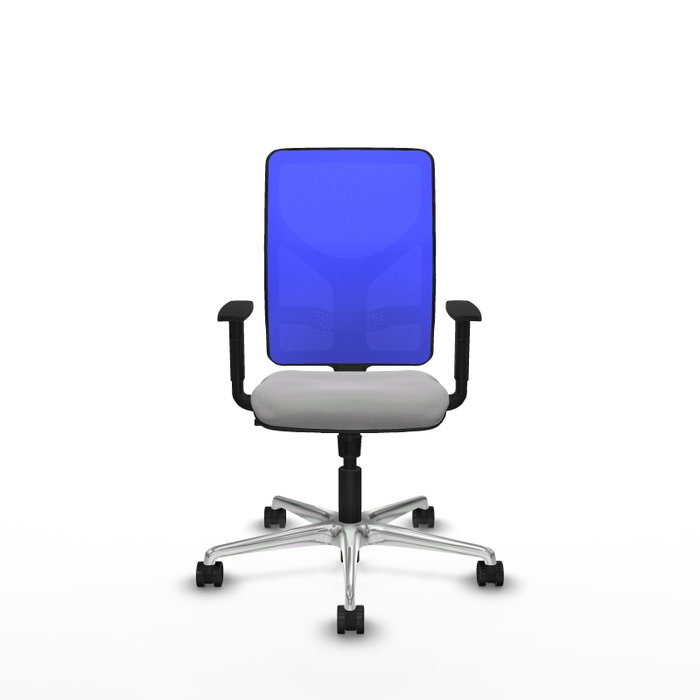 PIQUERAS Y CRESPO Silla de oficina Motilla con mecanismo Sincro, Gris claro y Azul PIQUERAS Y CRESPO Silla de oficina Motilla con mecanismo Sincro, Gris claro y Azul