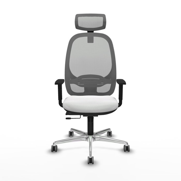 PIQUERAS Y CRESPO Silla de oficina Cilanco con mecanismo Sincro/Traslack, Blanco y Gris PIQUERAS Y CRESPO Silla de oficina Cilanco con mecanismo Sincro/Traslack, Blanco y Gris