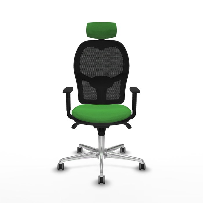 PIQUERAS Y CRESPO Silla de oficina Jorquera con mecanismo Sincro, Tela Verde y Malla Negra