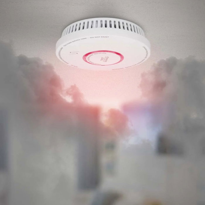 Alecto SDX10 Set de Alarma de Humo y Monóxido de Carbono