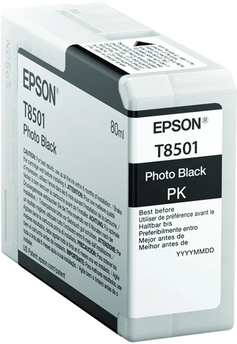 Epson Cartucho Negro Foto T8501 80ml C13T850100