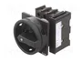 EATON ELECTRIC Interruptor de aislamiento 3 polos 25A 13kW