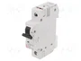 ETI POLAM Interruptor magnetotérmico ETIMAT 10 1P C2 2A 10kA