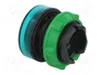 SCHNEIDER ELECTRIC Lámpara de control Harmony XB5 verde Ø22mm