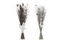 DKD Home Decor Ramo de Fibra de Coco Surtido Gris y Marrón