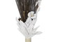 DKD Home Decor Ramo de Fibra de Coco Surtido Gris y Marrón