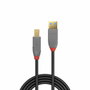 Lindy Cable USB 3.2 Gen 1 Anthra Line Tipo A a B, 5 m, Negro