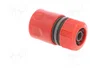 PROLINE Conector de parada recto de 1/2 polgada