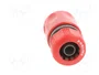 PROLINE Conector de parada recto de 1/2 polgada