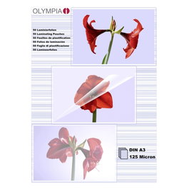 Olympia Folio Fundas de Laminación DIN A3 125 Micras (50 unidades)