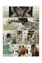 Jazz Maynard 06: Tres Cuervos (Comic)