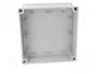 FIBOX MNX Carcasa Universal Gris ABS 180x180x125mm