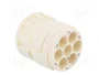 HARTING Conector M23 hembra de 6 pines con plantilla de contacto
