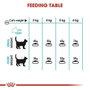 Royal Canin Feline Adult Urinary Care 2 kg