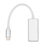 ProXtend USB-C to Mini DP Cable 20cm - Plata