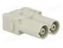 HARTING Han-Modular® Módulo Macho 70A 1kV 2 Pines