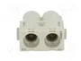 HARTING Han-Modular® Módulo Macho 70A 1kV 2 Pines