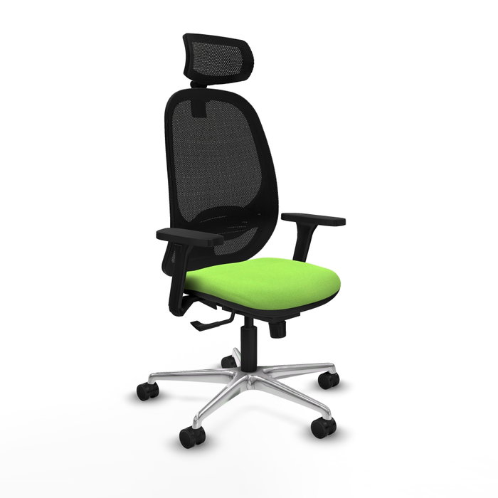 PIQUERAS Y CRESPO Silla de oficina Cilanco con mecanismo Sincro, Tela Pistacho y Malla Negra PIQUERAS Y CRESPO Silla de oficina Cilanco con mecanismo Sincro, Tela Pistacho y Malla Negra