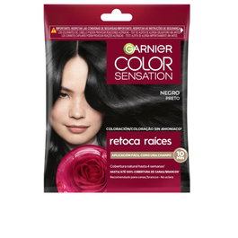 Garnier Color Sensation Color Shampoo Retouch Negro