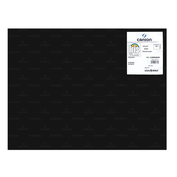 Guarro Cartulina Negra 50x65cm 185g - 25 Unidades