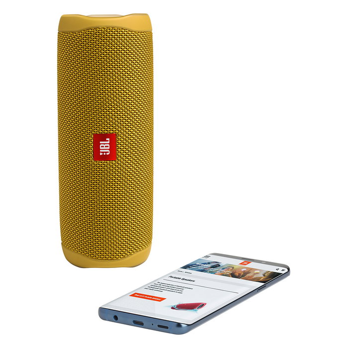 JBL Harman Flip 6 Martin Garrix Gris