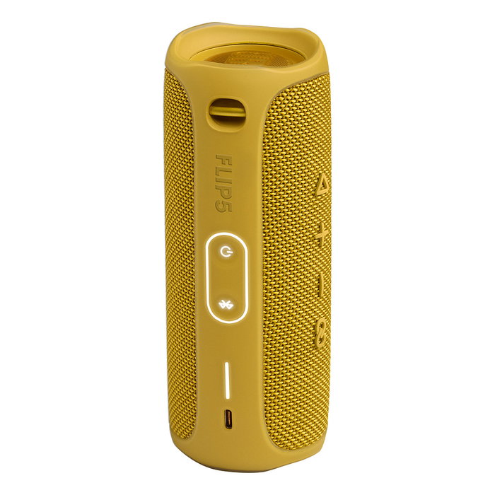 JBL Harman Flip 6 Martin Garrix Gris