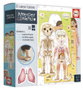 Educa Borrás El Cuerpo Humano