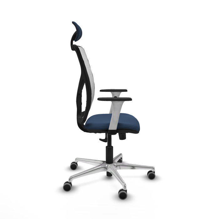 PIQUERAS Y CRESPO Silla de oficina Motilla con mecanismo Sincro, Azul marino y Blanco PIQUERAS Y CRESPO Silla de oficina Motilla con mecanismo Sincro, Azul marino y Blanco