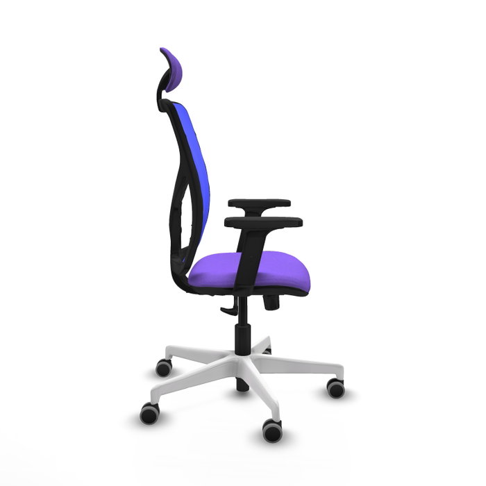 PIQUERAS Y CRESPO Silla de oficina Motilla con mecanismo Sincro, Lila y Azul PIQUERAS Y CRESPO Silla de oficina Motilla con mecanismo Sincro, Lila y Azul
