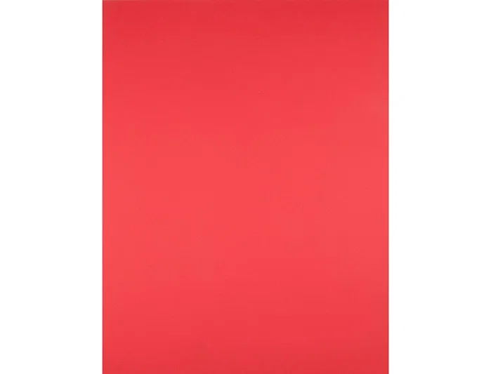 Liderpapel Cartulina Rojo 50x65 cm 240g/m2