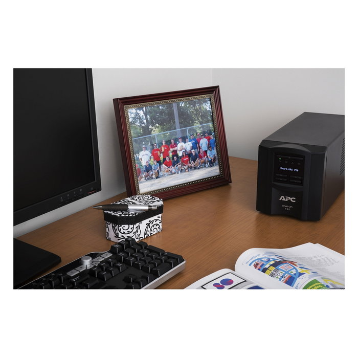 APC Smart-UPS SMT750C 750VA 500W 120V Negro