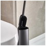 Joseph Joseph Flex 360 Cepillo para Inodoro Negro Mate