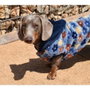 Nayeco Sudadera Con Capucha Spring Azul Marino Flores para Perros 20 cm