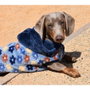 Nayeco Sudadera Con Capucha Spring Azul Marino Flores para Perros 20 cm