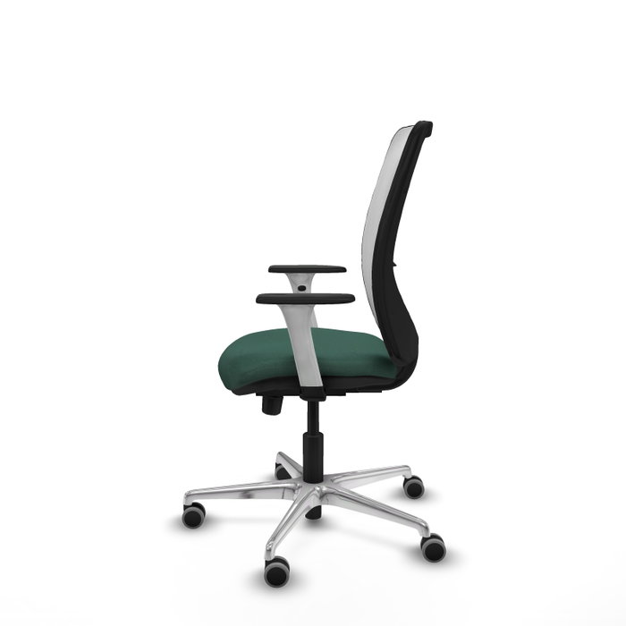 PIQUERAS Y CRESPO Silla de oficina Zulema con mecanismo Sincro/Traslack, Verde botella y Blanco PIQUERAS Y CRESPO Silla de oficina Zulema con mecanismo Sincro/Traslack, Verde botella y Blanco